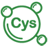 l-cystéine
