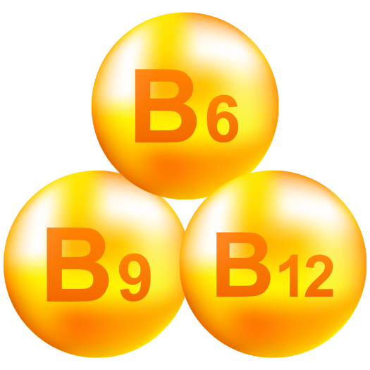 Les vitamines B6, B9 et B12